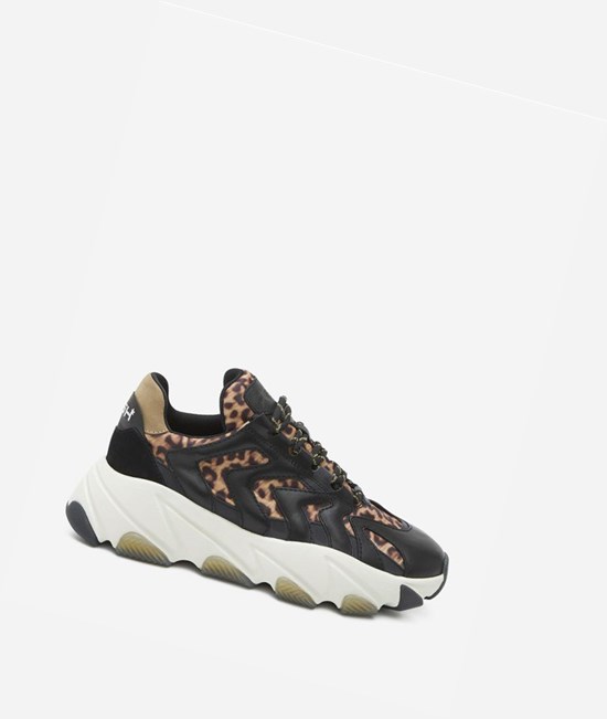 Black / Begie / Wilde Women's ASH Extreme Low-Top Sneakers | 831AXRGHU