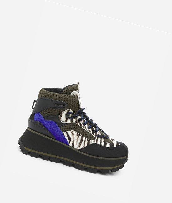 Black / White / Cobalt Women's ASH Sonic High-Top Sneakers | 491CDXGBS