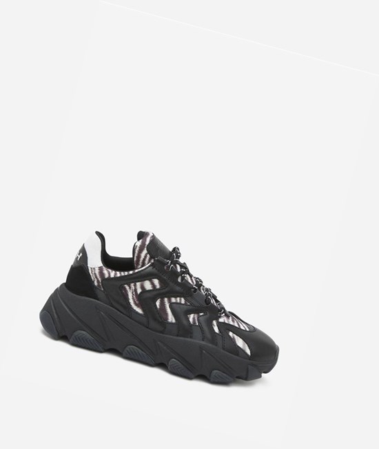 Black / White Women's ASH Extreme Low-Top Sneakers | 405SOYGPV