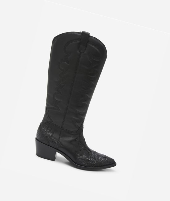 Black Women's ASH Dream Long Boots | 027AWPEQH