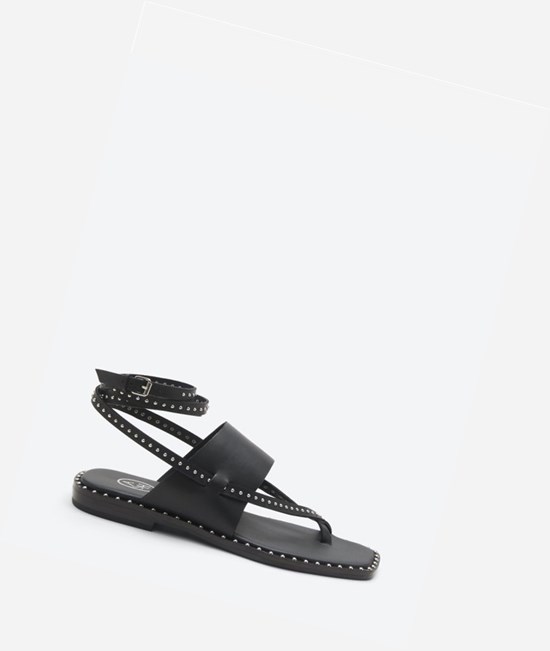 Black Women's ASH Medusa Studs Flat Sandals | 632RFYTVL