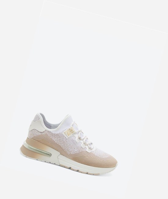 Eggnug / White Women's ASH Krush Degrade Air Cushion Sneakers | 384TIKAXQ