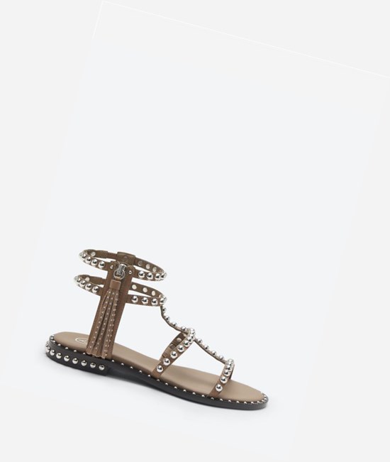 Fango Women's ASH Power Flat Sandals | 137YZXEJP