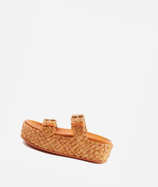 Fungi / Fungi Women's ASH Ziggy Flat Sandals | 827BINEJW
