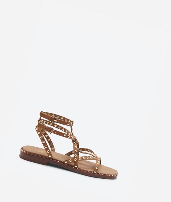 New Cinnamon Women's ASH Mamba Flat Sandals | 961UHGOIM