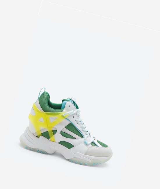 Off White / Ecco Green / White Women's ASH Impuls High-Top Sneakers | 506KHFPZM