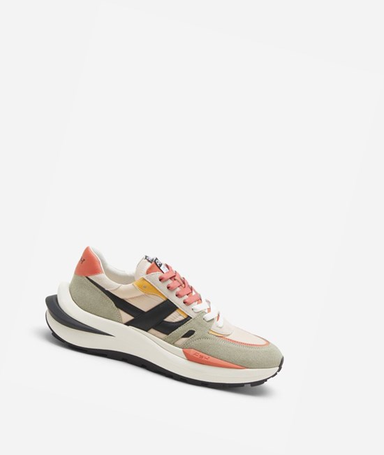 Whisper / Shell / Black Men's ASH Spider 620 Man Low-Top Sneakers | 816QAHKWY