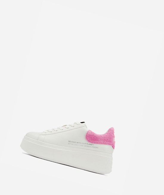 White / Dolly Women's ASH Moby Be Kind Low-Top Sneakers | 209TJHNPA