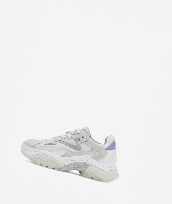 White / Pearl / Young / White Women's ASH Addict Chunky Sneakers | 510DZSQTI