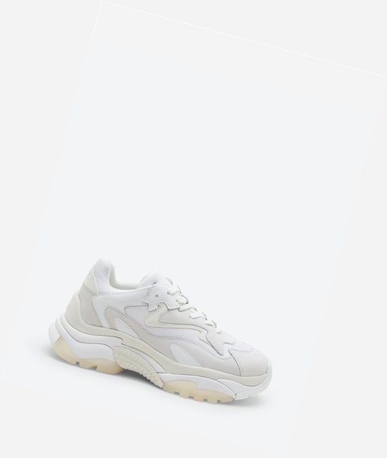 White Women's ASH Addict High-Top Sneakers | 035ICEALT